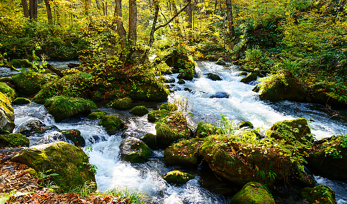 포토 JPG 해외이미지 여행 자연 풍경 사람없음 뷰티 여행객 해외202309 해외포토 사람 생태계 파일형식