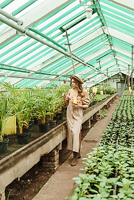 포토 JPG 해외이미지 식물 백인 전통 여자 꽃 행복 꽃무늬 자연 한명 사람 초록색 뷰티 환경 상점 정원 성장 업무 농부 꽃집 창고 에코 친환경 원예 소매 주인 분재 유지 채소밭 돌봄 묘목 온실 원예사 그리너리 해외202309 해외포토 서양인 나무 직업 1 감정 컬러 무늬 밭 모션 취미 작업 생태계 파일형식 트랜드컬러