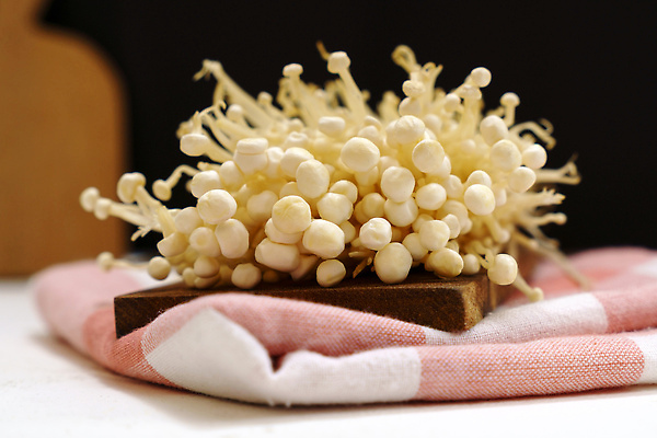 포토 JPG 해외이미지 식물 음식 백그라운드 채소 재료 자연 한국 건강 요리 동양인 사람없음 일본 식사 버섯 굴 흰색 신선 그룹 황금 닫기 맛 농부 유기농 날것 내추럴 바이오 식용 채식주의자 해외202309 해외포토 직업 웰빙 아시아 컬러 컨셉 모션 어패류 인종 생태계 채식 파일형식