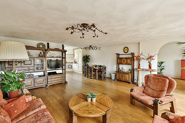 포토 JPG 해외이미지 식물 꽃 화분 쿠션 의자 탁자 선반 사람없음 인테리어 소파 주방 공간 방 스탠드 서랍장 나무바닥 장식장 해외202309 해외포토 디자인 가구 조명 바닥 파일형식