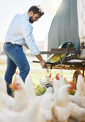 포토 JPG 해외이미지 주간 전신 라이프스타일 남자 여러마리 한명 손짓 성인 야외 옆모습 아웃포커스 농장 닭 축산업 농부 모이 전원생활 모이주기 양계장 성인남자한명만 해외202309 해외포토 자연요소 직업 1 산업 뷰포인트 다수 농업 모션 조류 촬영기법 사람 생활 먹이 남자한명만 성인남자만 파일형식