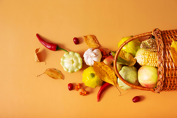 포토 JPG 해외이미지 식물 계절 음식 백그라운드 단풍 잎 농업 다이어트 채소 재료 자연 건강 옥수수 요리 사람없음 장식 빨간색 초록색 농작물 농장 바구니 마을 정원 수확 시골 신선 사과 9월 먹기 유기농 날것 후추 추수감사절 내추럴 밭일 숙성 플랫레이 해외202309 해외포토 웰빙 산업 기독교 컬러 과일 모션 곡류 날짜 플랫 향신료 생태계 파일형식