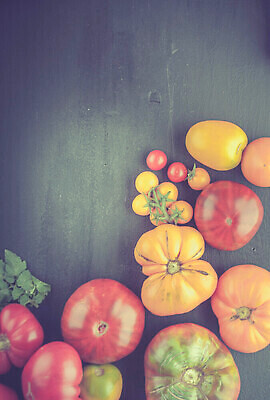 포토 JPG 해외이미지 음식 컬러 백그라운드 농업 토마토 채소 오렌지 과일 재료 탁자 건강 종류 사람없음 목재 빨간색 초록색 뷰티 노란색 수확 흰색 시골 신선 체리 그룹 변화 시장 농부 먹기 오브젝트 유기농 날것 머리위 흙더미 숙성 채식주의자 해외202309 해외포토 나무 직업 웰빙 산업 가구 컨셉 모션 흙 채식 파일형식 더미