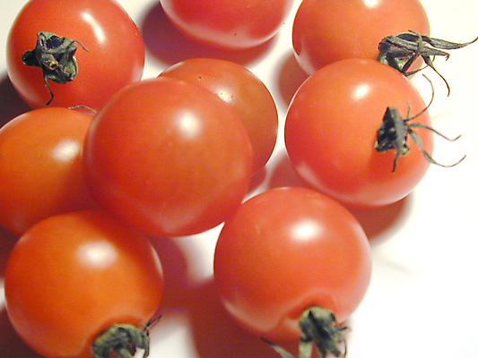 포토 JPG 해외이미지 토마토 채소 과일 방울토마토 사람없음 빨간색 쌓기 신선 식용 해외202309 해외포토 컬러 모션 파일형식