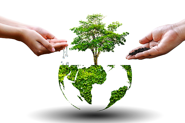 포토 JPG 해외이미지 나무 손 지구 자연 생명 신체부위 물 흙 에코 손모으기 물뿌리기 해외202309 해외포토 자연요소 식물 모션 사람 손짓 환경 생태계 파일형식