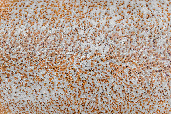 포토 JPG 해외이미지 접시 디자인 산업 벽 백그라운드 패턴 벽지 표면 날씨 추상 프레임 사람없음 빨간색 울타리 갈색 금속 어둠 페인트 손상 수확 시골 얼룩 거친 균열 철 버리기 묘사 부식 질감 복고 무거움 시트 그런지 옛날 철강 해외202309 해외포토 식기 컬러 컨셉 무늬 농업 모션 재질 담장 무게 파일형식