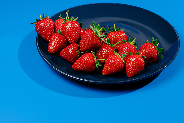 포토 JPG 해외이미지 계절 열매 음식 백그라운드 농업 과일 탁자 딸기 건강 사람없음 빨간색 초록색 파란색 정원 수확 신선 그룹 달콤 맛 유기농 날것 흙더미 내추럴 숙성 채식주의자 비건 맛있는 해외202309 해외포토 식물 웰빙 산업 컬러 가구 컨셉 흙 채식 파일형식 더미