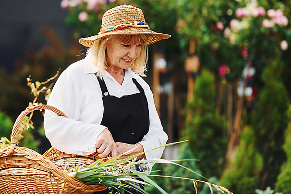 포토 JPG 해외이미지 백인 여자 노년 행복 화분 한명 들기 상반신 취미 야외 옆모습 실버라이프 정원 봄 기쁨 원예 꽃바구니 원예식물 원예용품 노인여자한명만 해외202309 해외포토 서양인 식물 1 라이프스타일 계절 꽃 감정 뷰포인트 생활용품 모션 사람 성인 바구니 여자한명만 노인여자만 파일형식