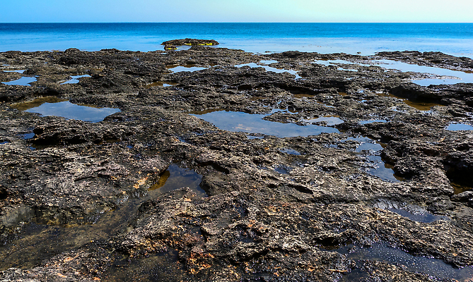 포토 JPG 해외이미지 야생동물 모래 파도 바다 자연 조류 해변 사람없음 물 절벽 서핑 망토 부식 웅덩이 점토 블러 지질학 무너짐 해외202309 해외포토 자연요소 동물 교육 모션 수상스포츠 생태계 파일형식
