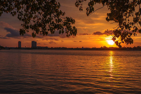 포토 JPG 해외이미지 실루엣 호수 파도 바다 여행 백그라운드 오렌지 자연 하늘 아침 휴가 파노라마 사람없음 야외 물 빛 강 햇빛 태양 반사 평화 일출 항구 침묵 황혼 일몰 새벽 낭만 시골 황금 저녁 수평선 해외202309 해외포토 주간 자연요소 컨셉 과일 교통시설 촬영기법 노을 소리 야간 생태계 파일형식