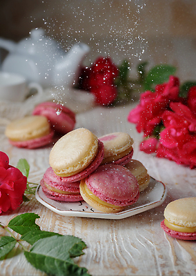 포토 JPG 해외이미지 접시 꽃 잎 사람없음 빨간색 달콤 찻주전자 가루 마카롱 나무배경 해외202309 해외포토 식물 식기 컬러 백그라운드 주전자 디저트 맛 파일형식