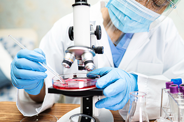 포토 JPG 해외이미지 직업 과학 건강 병원 현미경 실험 사람 사람없음 스터디 약 방 장비 의사 업무 그룹 기술자 실험실 바이러스 과학자 분석 생물학 미생물 튜브 발견 개발 백신 전염병 화학자 코로나바이러스 해외202309 해외포토 교육 컨셉 의학 생물 실험기구 학습 의료진 작업 질병 학자 파일형식