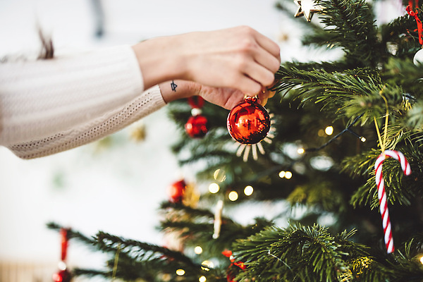 포토 JPG 해외이미지 나무 백인 모자 전통 커플 딸 행복 별 어린이 크리스마스 통신 가족 엄마 남편 휴가 전등 새해 아파트 주택 실내 3 선물 한명 사람 앉기 내부 장식 뷰티 축제 기쁨 축하 잡기 아내 분위기 아빠 정상 어깨 주기 넣기 크리스마스이브 해외202309 해외포토 자연요소 서양인 식물 1 잡화 기념일 감정 컨셉 관계 모션 조명 건물 신체부위 파일형식