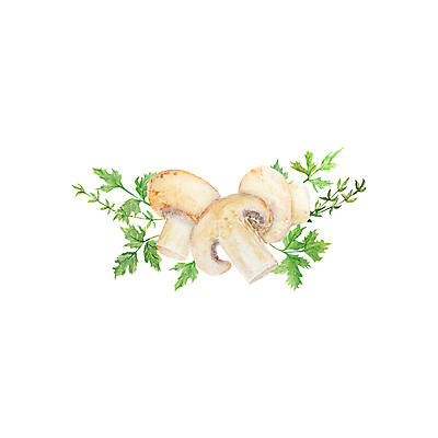 JPG 해외이미지 일러스트 파슬리 사람없음 흰색 양송이 해외202309 해외일러스트 컬러 채소 버섯 파일형식