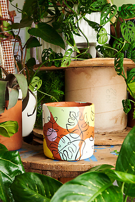 포토 JPG 해외이미지 화분 화초 사람없음 원예 해외202309 해외포토 식물 취미 파일형식