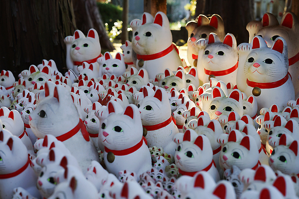 포토 JPG 해외이미지 동물 전통 문화 인형 새해 사람없음 반려동물 장난감 고양이 도자기 재산 함선 초대 올가미 해외202309 해외포토 배_교통 포유류 금융 파일형식