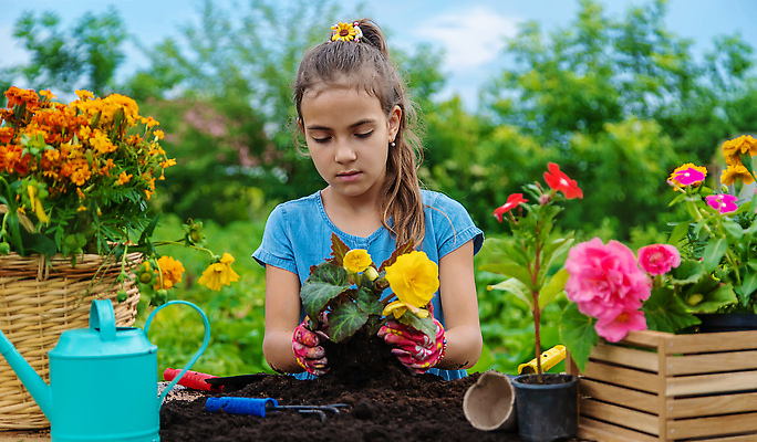 포토 JPG 해외이미지 여자 꽃 어린이 장갑 하늘 한명 들기 상반신 앞모습 바구니 정원 흙 물뿌리개 성장 나무상자 원예 소녀한명만 해외202309 해외포토 식물 1 잡화 뷰포인트 모션 사람 취미 상자 여자한명만 소녀만 파일형식