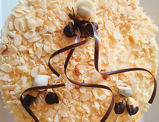 포토 JPG 해외이미지 전통 그릇 접시 음식 백그라운드 아침 디저트 건강 사탕 요리 사람없음 장식 갈색 케이크 식당 초콜릿 견과류 흰색 신선 닫기 달콤 아침식사 설탕 굽기 먹기 크림 아몬드 점심식사 단절 핸드메이드 맛있는 해외202309 해외포토 주간 식기 컬러 모션 상점 식사 맛 구이 파일형식