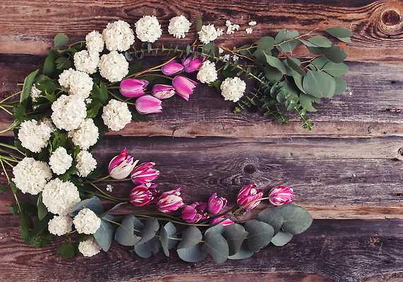 포토 JPG 해외이미지 식물 디자인 꽃 분홍색 꽃다발 결혼 백그라운드 잎 꽃무늬 패턴 자연 휴가 프레임 사랑 사람없음 목재 장식 초록색 우주 봄 낭만 수확 벚꽃 흰색 나뭇가지 시골 인사 신용카드 생일 플랫 복고 초대 위치 내추럴 옛날 유칼립투스 스타일 해외202309 해외포토 나무 계절 기념일 감정 컬러 컨셉 무늬 농업 재료 이벤트 금융 예절 생태계 파일형식