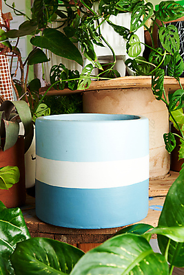 포토 JPG 해외이미지 화분 화초 사람없음 원예 해외202309 해외포토 식물 취미 파일형식