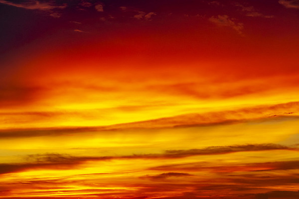 포토 JPG 해외이미지 실루엣 아시아 파도 바다 분홍색 컬러 섬 여행 백그라운드 오렌지 태국 자연 하늘 휴가 파노라마 사람없음 빨간색 물 컬러풀 태양 뷰티 반사 노란색 일출 보라색 동남아시아 일몰 놀람 황금 저녁 제비꽃 푸켓 수평선 해외202309 해외포토 자연요소 꽃 감정 나라 과일 촬영기법 표정 노을 야간 생태계 파일형식