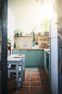 포토 JPG 해외이미지 라이프스타일 꽃 가구 백그라운드 컨셉 건축양식 탁자 주방용품 새로움 선반 아파트 주택 실내 한명 사람없음 내부 목재 장식 초록색 빛 인테리어 뷰티 우주 주방 식사 기계 흰색 고급 우아함 오븐 계산대 싱크대 심플 해외202309 해외포토 나무 식물 1 디자인 건축 컬러 생활용품 재료 사람 건물 생활 가전제품 개수대 파일형식