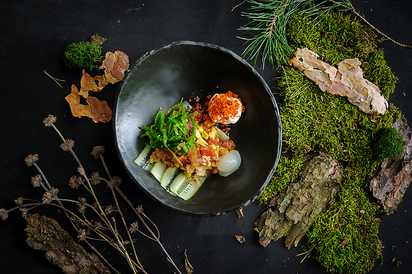 포토 JPG 해외이미지 접시 오이 사람없음 분위기 참치 가리비 미역 아보카도 자연물 플레이팅 해외202309 해외포토 식기 컨셉 채소 과일 자연 조개 어류 해조류 상차림 파일형식