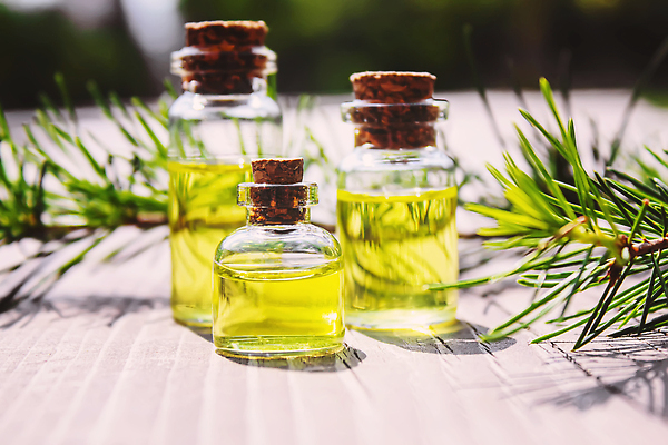 포토 JPG 해외이미지 식물 사람없음 오일 아로마테라피 내추럴 에센스 해외202309 해외포토 음식 화장품 테라피 파일형식