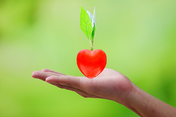 포토 JPG 해외이미지 나무 식물 손 백그라운드 컨셉 잎 손가락 자연 아이디어 건강 선물 사랑 사람 사람없음 목재 빨간색 초록색 농작물 글로벌 환경 농사 신선 심볼 경계 서비스 뿌리 내추럴 돌봄 보유 헬프 그리너리 해외202309 해외포토 감정 컬러 농업 재료 모션 신체부위 도움 생태계 파일형식 트랜드컬러