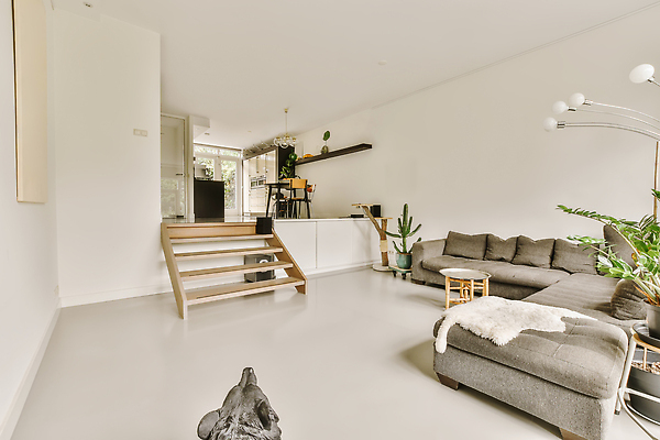 포토 JPG 해외이미지 식물 화분 탁자 조명 선반 사람없음 장식 인테리어 소파 문 계단 주방 공간 방 해외202309 해외포토 디자인 가구 의자 파일형식