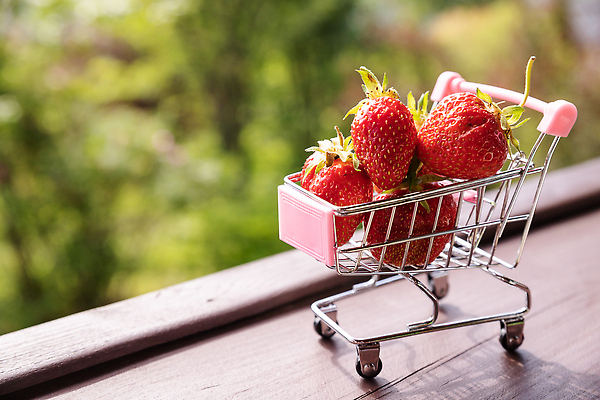 포토 JPG 해외이미지 잡화 열매 음식 다이어트 과일 비즈니스 딸기 디저트 건강 사람없음 여름 쇼핑 세일 바구니 상점 금속 카트 수확 흰색 신선 시장 달콤 맛 구매 상품 고객 유기농 상업 날것 비타민 슈퍼마켓 내추럴 고립 숙성 채식주의자 비건 맛있는 혜택 비건음식 해외202309 해외포토 식물 웰빙 계절 컬러 컨셉 농업 재질 채식 영양소 파일형식