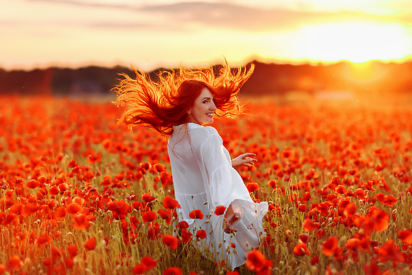 포토 JPG 해외이미지 백인 라이프스타일 계절 여자 꽃 행복 밭 자연 휴식 따뜻함 한명 사람 성인 야외 빨간색 빛 컬러풀 햇빛 태양 뷰티 일몰 기쁨 낭만 자유 양귀비 해외202309 해외포토 자연요소 서양인 식물 1 감정 컬러 컨셉 농업 생활 노을 생태계 파일형식