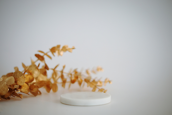 포토 JPG 해외이미지 백그라운드 낙엽 사람없음 공간 원형 단상 포디움 해외202309 해외포토 도형 잎 무대 파일형식