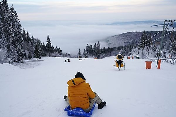 포토 JPG 해외이미지 나무 웰빙 계절 공원 컬러 여행 크리스마스 동화 날씨 휴가 풍경 경사 사람없음 빛 햇빛 환경 냉동 놀람 백발 숲 서리 마법 공학 내추럴 생태학 슬라이드 절정 환상 수평선 겨울풍경 해외202309 해외포토 식물 헤어스타일 공공시설 교육 기념일 감정 컨셉 겨울 표정 태양 파일형식