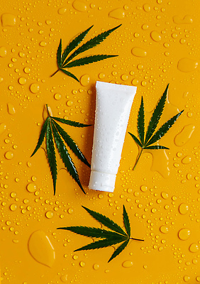 포토 JPG 해외이미지 백그라운드 잎 자연 사람없음 아웃포커스 주황색 화장품 신선 수분 내추럴 해외202309 해외포토 식물 컬러 촬영기법 뷰티 생태계 파일형식