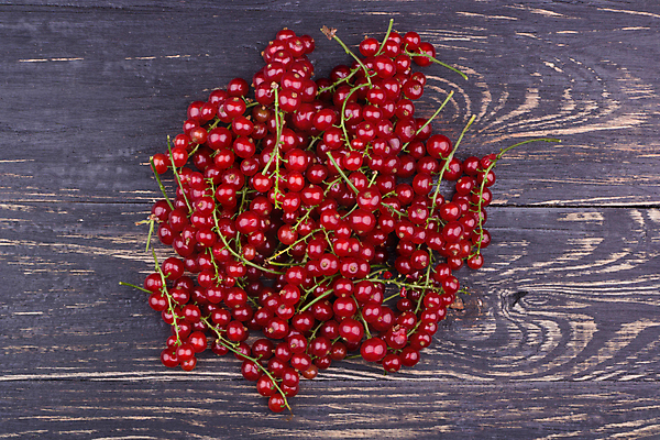 포토 JPG 해외이미지 열매 음식 백그라운드 잎 과일 자연 디저트 건강 사람없음 목재 빨간색 초록색 어둠 신선 달콤 날것 건포도 숙성 해외202309 해외포토 나무 식물 컬러 재료 포도 맛 생태계 건과일 파일형식