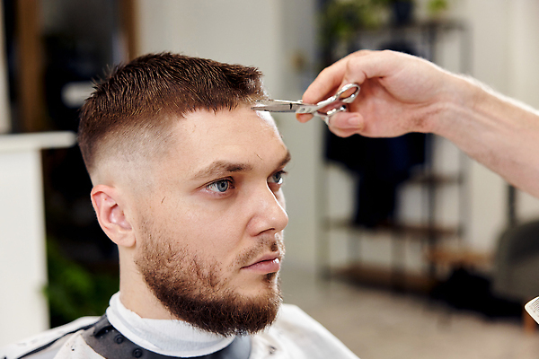 포토 JPG 해외이미지 헤어스타일 응시 남자 한명 앉기 상반신 성인 옆모습 장비 망토 미용사 이발 자르기 이발소 미용가위 성인남자한명만 해외202309 해외포토 직업 1 시선 뷰포인트 모션 가위_도구 사람 미용용품 뷰티샵 남자한명만 성인남자만 파일형식