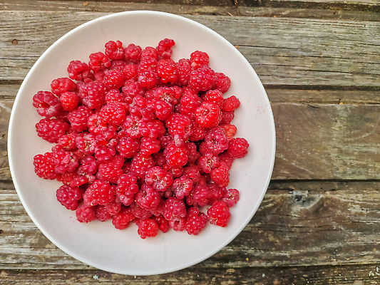 포토 JPG 해외이미지 식물 계절 열매 음식 컬러 잎 다이어트 과일 재료 자연 탁자 디저트 건강 사람없음 목재 빨간색 초록색 수확 흰색 신선 그룹 사발 달콤 맛 먹기 오브젝트 유기농 날것 산딸기 내추럴 고립 숙성 채식주의자 많음 비건 맛있는 해외202309 해외포토 나무 웰빙 가구 컨셉 농업 모션 사기그릇 생태계 채식 파일형식