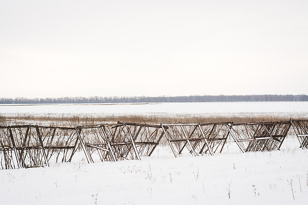 포토 JPG 해외이미지 산업 도로 밭 농업 자연 바람 날씨 사람없음 야외 목재 울타리 환경 장비 풍차 에너지 시골 보호 에코 보안 눈보라 패널 생태학 해외202309 해외포토 자연요소 나무 교육 길 컨셉 재료 교통시설 눈_날씨 안전 담장 생태계 파일형식