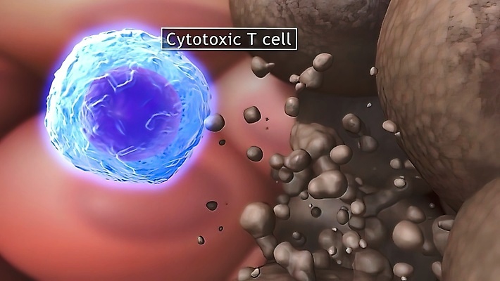 포토 JPG 해외이미지 사람없음 컴퓨터그래픽 3D 건강관리 만들기 췌장 해외202309 해외포토 모션 건강 관리 그래픽 장기_의학 디지털합성 파일형식