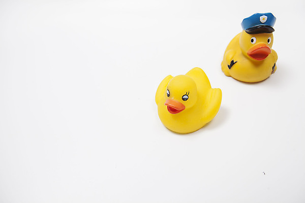 포토 JPG 해외이미지 오리 사람없음 노란색 미니어처 경찰모자 오리장난감 해외202309 해외포토 모자_잡화 컬러 조류 장난감 모형 파일형식