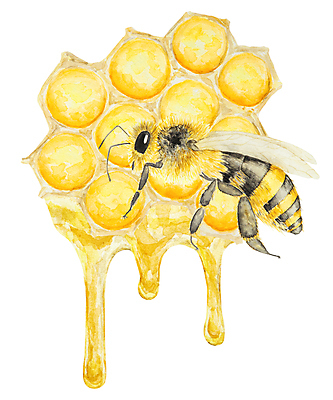 JPG 해외이미지 한마리 일러스트 사람없음 달콤 꿀벌 꿀 흘림 벌집 허니콤 해외202309 해외일러스트 모양 1 모션 맛 벌_곤충 파일형식