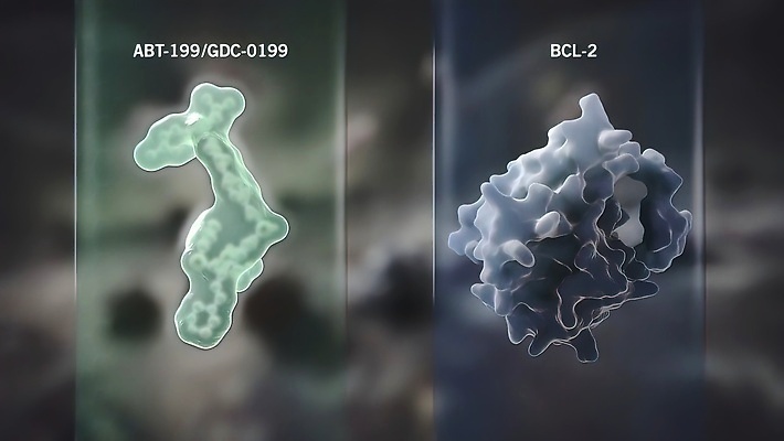 포토 JPG 해외이미지 디자인 과학 컨셉 사람 사람없음 약 펼침 바이러스 보호 질병 공격 입장 생물학 감염 전염 미생물 스파이크 단백질 면역력 백신 에이즈 인플루엔자 전염병 증상 항생제 사스 코로나바이러스 해외202309 해외포토 교육 의학 모션 생물 영양소 파일형식