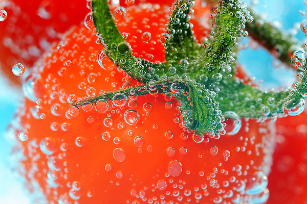 포토 JPG 해외이미지 음료 음식 다이어트 토마토 채소 재료 자연 추상 건강 사람없음 빨간색 물 정원 수중 주스 거품 젖음 신선 칵테일 액체 체리 닫기 선택 떨어짐 씻기 빨래 유기농 날것 비타민 내추럴 숙성 채식주의자 해외202309 해외포토 자연요소 웰빙 컬러 컨셉 가사 무늬 과일 모션 주류 청결 생태계 채식 영양소 파일형식