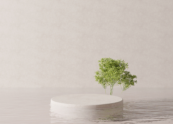 포토 JPG 해외이미지 백그라운드 잎 사람없음 물 공간 원형 단상 포디움 해외202309 해외포토 자연요소 도형 식물 무대 파일형식