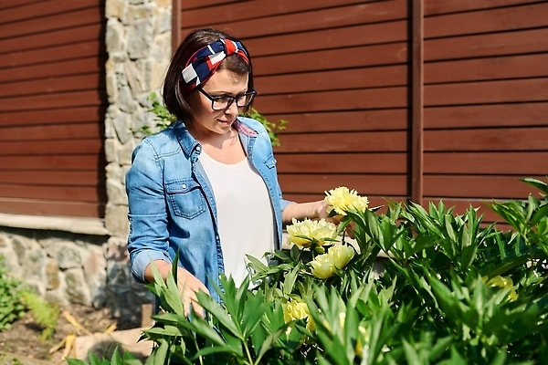 포토 JPG 해외이미지 식물 모델 라이프스타일 여자 꽃 40대 중년 꽃무늬 자연 휴식 친절 건강 관리 한명 사람 성인 야외 초록색 뷰티 노란색 정원 봄 성장 벚꽃 흰색 개화 원예 내추럴 돌봄 뒤뜰 원예사 작약 해외202309 해외포토 직업 1 계절 컬러 컨셉 무늬 모션 취미 생활 생태계 파일형식