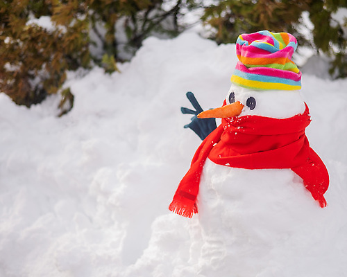 포토 JPG 해외이미지 장갑 겨울 눈사람 단추 사람없음 설원 목도리 당근 추위 눈 해외202309 해외포토 자연요소 잡화 계절 날씨 뿌리채소 눈_날씨 파일형식