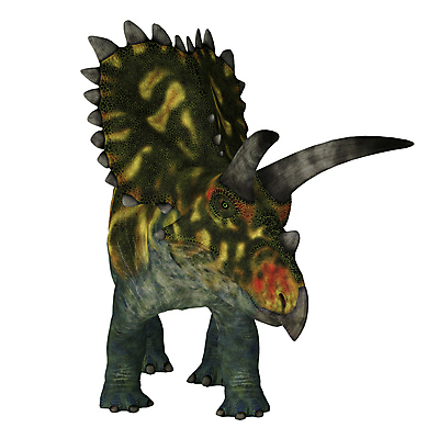 포토 JPG 해외이미지 동물 척추동물 야생동물 일러스트 파충류 자연 초식동물 생물 멕시코 종류 사람없음 3D 진화 공룡 흰배경 그림 도마뱀 멸종 선사시대 원시시대 고립 기간 테마 해외202309 해외일러스트 백그라운드 북아메리카 흰색 역사 소방 디지털합성 생태계 파일형식