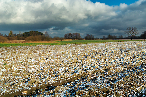 포토 JPG 해외이미지 계절 산업 지구 백그라운드 겨울 밭 농업 자연 하늘 날씨 새로움 사람없음 야외 농장 농경지 갈색 환경 냉동 흙 추위 흰색 시골 신선 작음 시원함 땅 만취 서리 먼지 흐림 폴란드 땅바닥 밭일 심기 줄서기 폭설 눈내림 세련 해외202309 해외포토 유럽 컬러 컨셉 모션 바닥 눈_날씨 크기 자연재해 생태계 술취함 파일형식