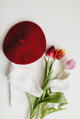 포토 JPG 해외이미지 라이프스타일 디자인 옷 꽃 꽃다발 백그라운드 컨셉 휴식 발렌타인데이 선물 사랑 미술 사람없음 장식 빛 세트 유행 봄 낭만 튤립 흰색 신선 정상 다발 배열 스웨터 니트 위치 항공촬영 구성 목업 스타일 미니멀 안락 해외202309 해외포토 식물 계절 감정 뷰포인트 컬러 상의 데이이벤트 문화예술 생활 파일형식